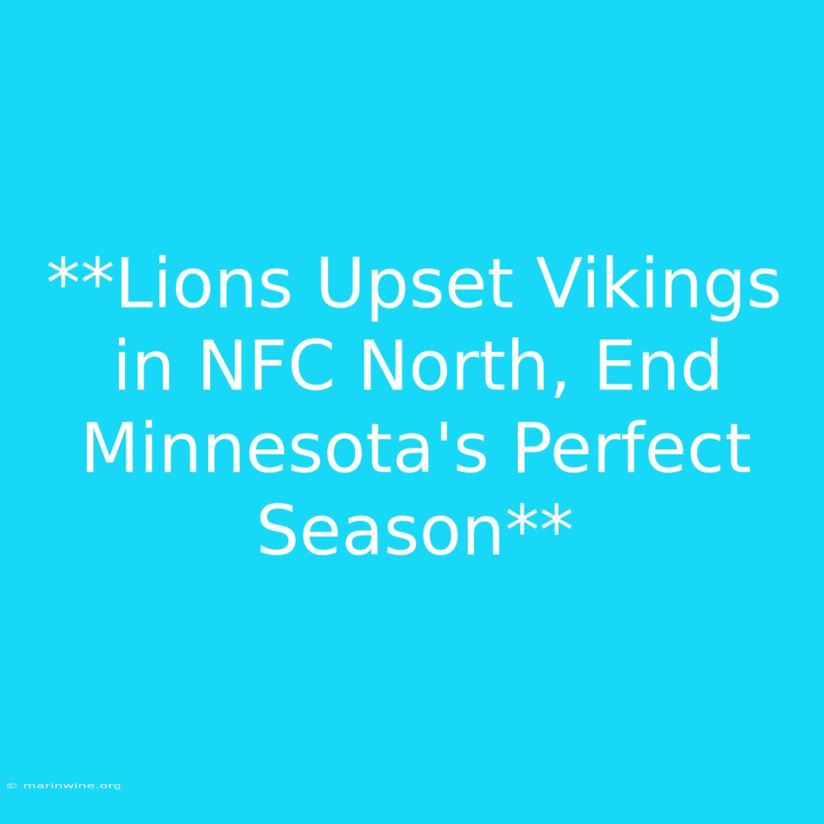 **Lions Upset Vikings In NFC North, End Minnesota's Perfect Season**