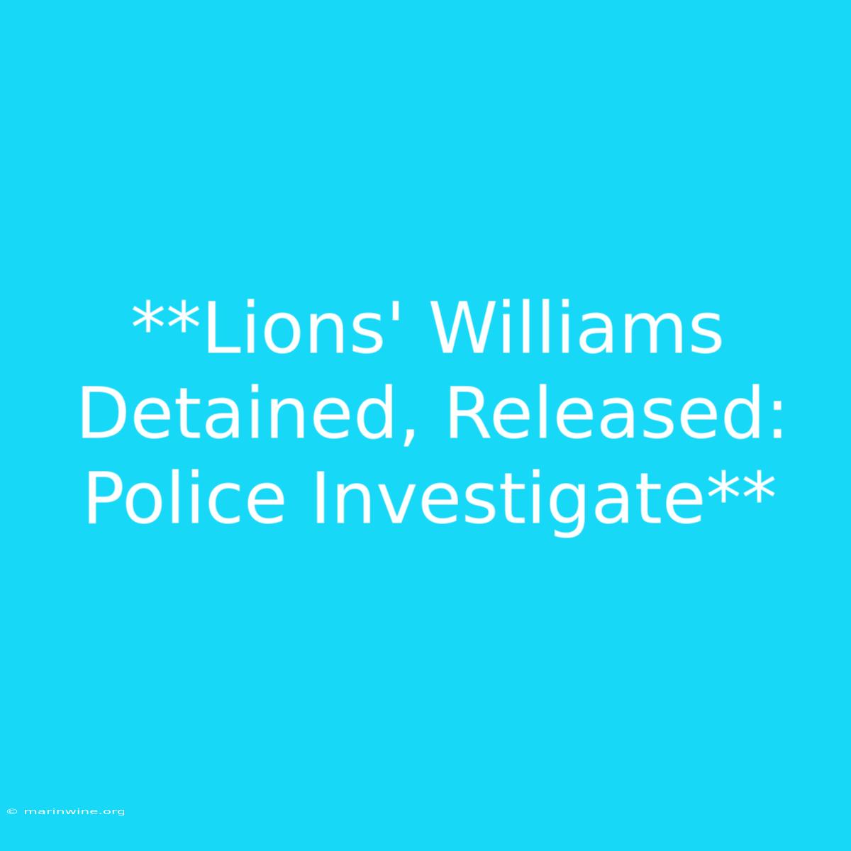 **Lions' Williams Detained, Released: Police Investigate**