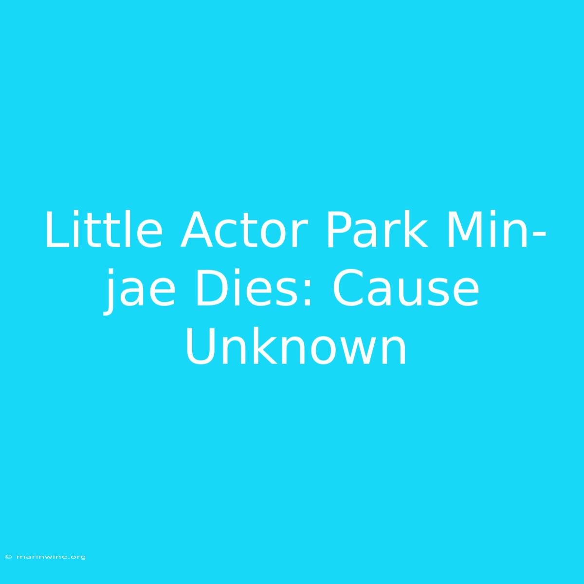 Little Actor Park Min-jae Dies: Cause Unknown