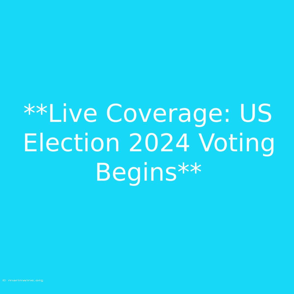 **Live Coverage: US Election 2024 Voting Begins**