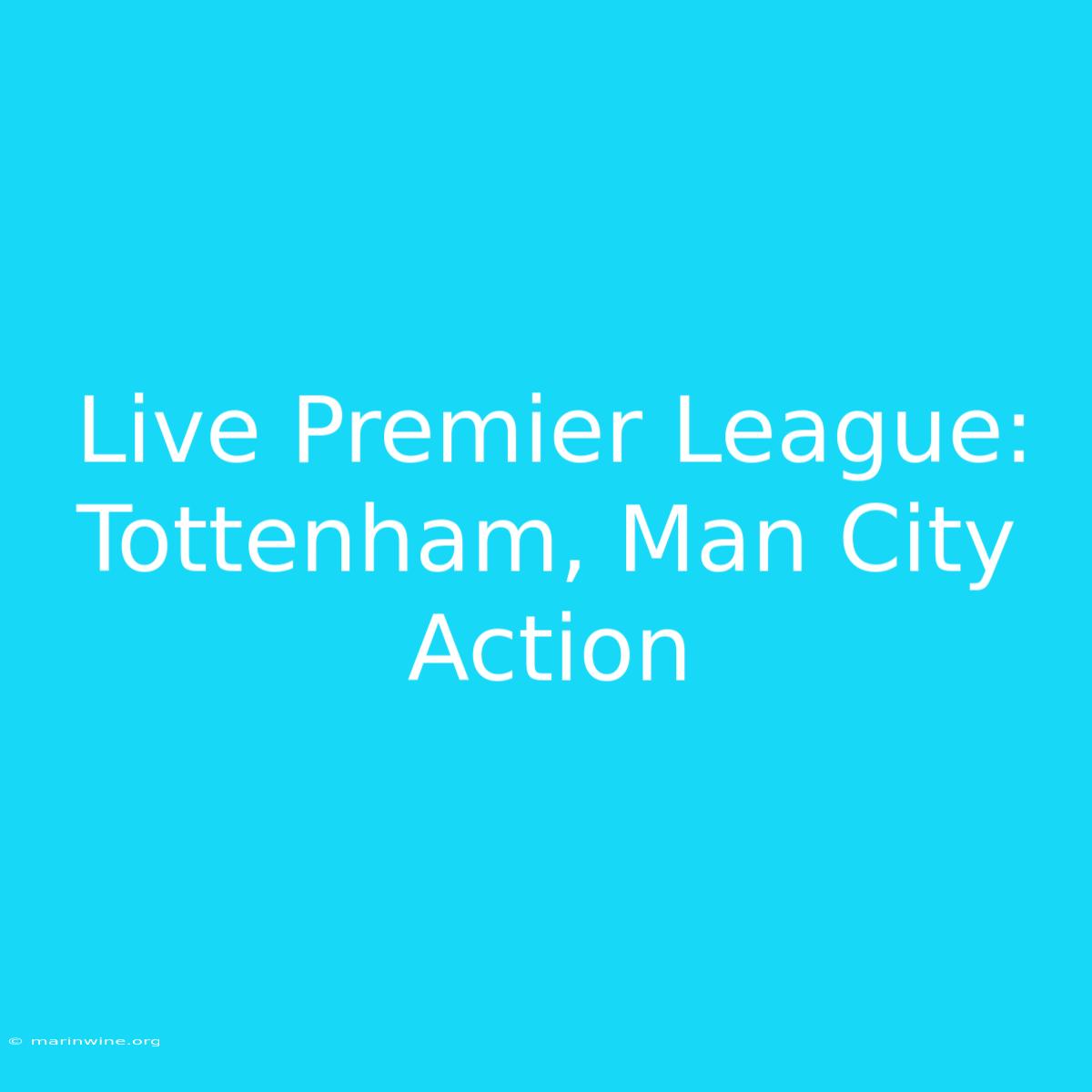 Live Premier League: Tottenham, Man City Action