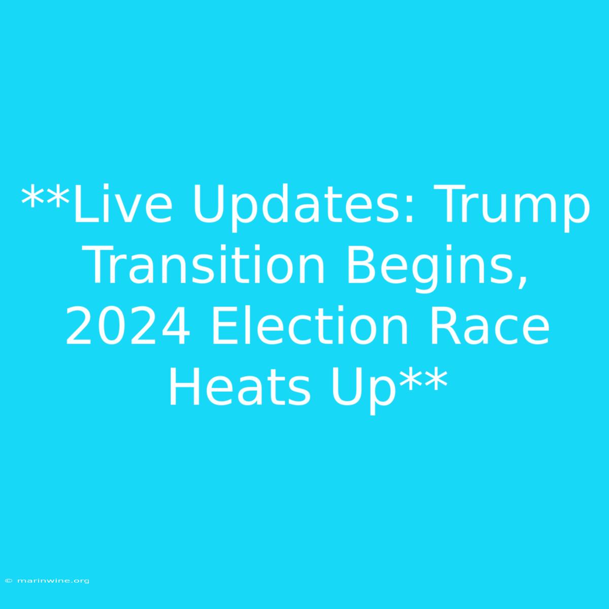 **Live Updates: Trump Transition Begins, 2024 Election Race Heats Up** 