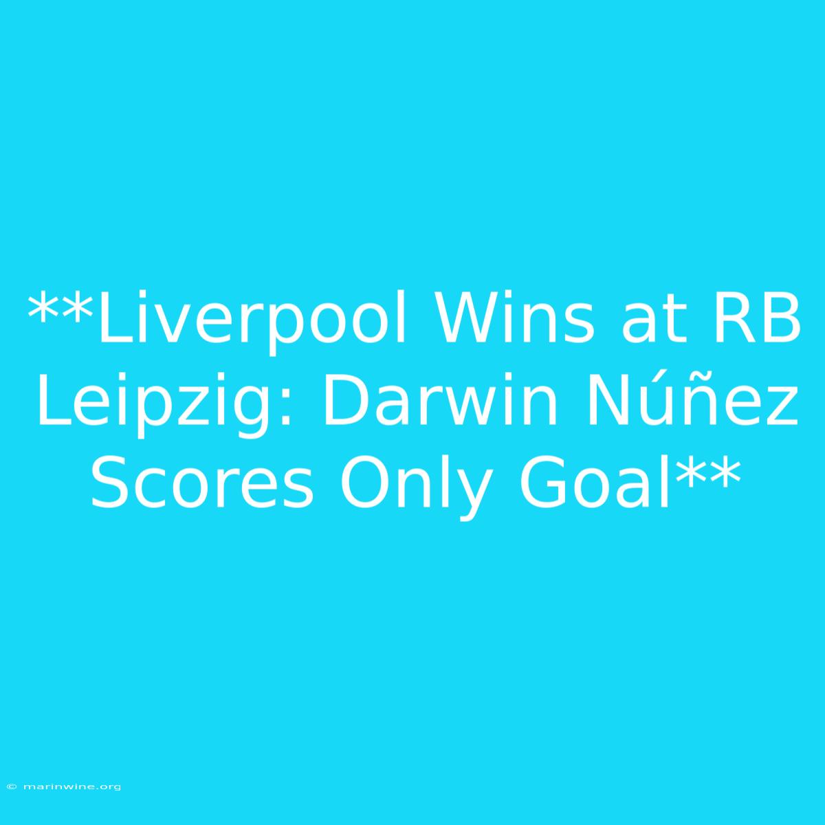 **Liverpool Wins At RB Leipzig: Darwin Núñez Scores Only Goal** 