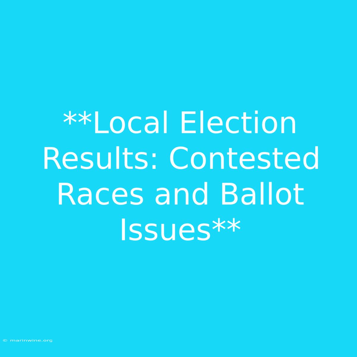 **Local Election Results: Contested Races And Ballot Issues**