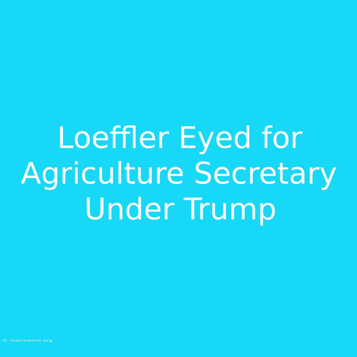 Loeffler Eyed For Agriculture Secretary Under Trump