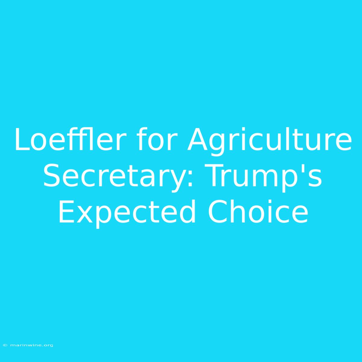 Loeffler For Agriculture Secretary: Trump's Expected Choice