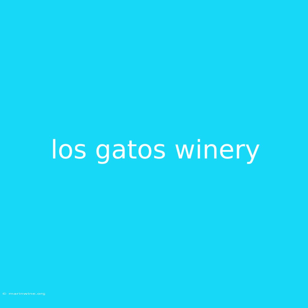 Los Gatos Winery