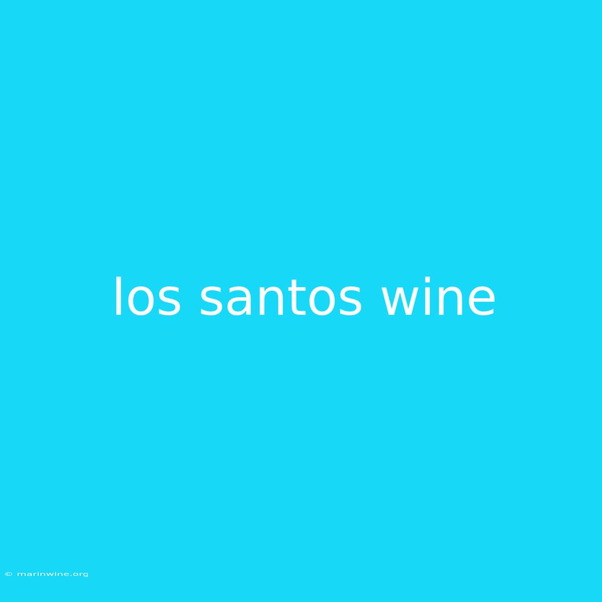 Los Santos Wine