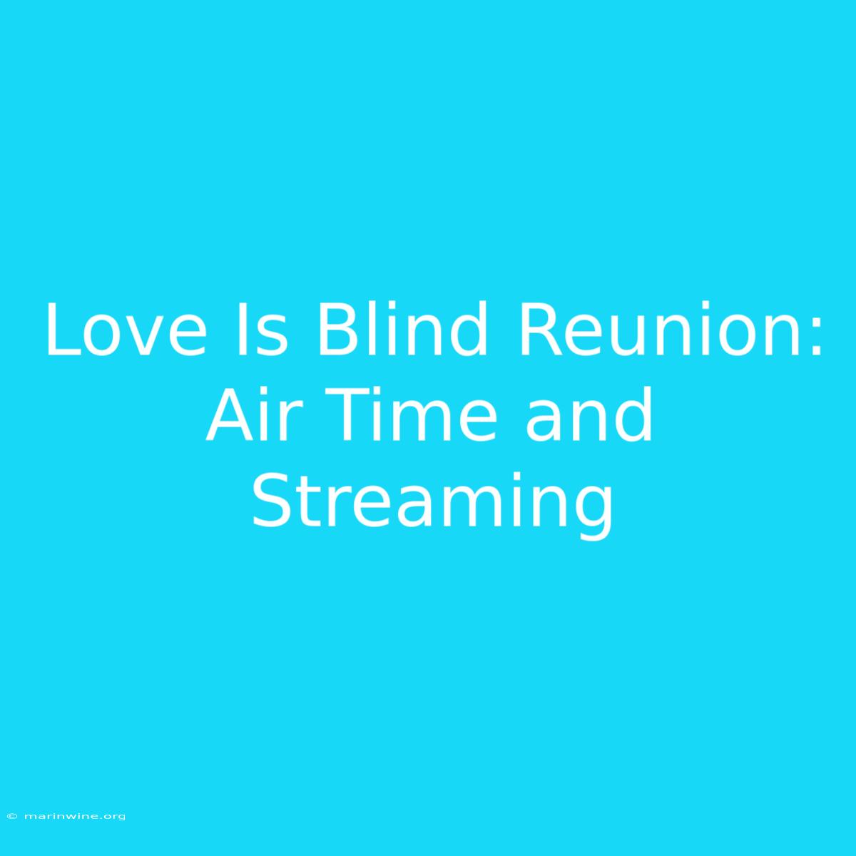 Love Is Blind Reunion: Air Time And Streaming 