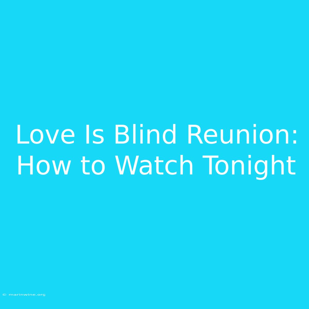 Love Is Blind Reunion: How To Watch Tonight