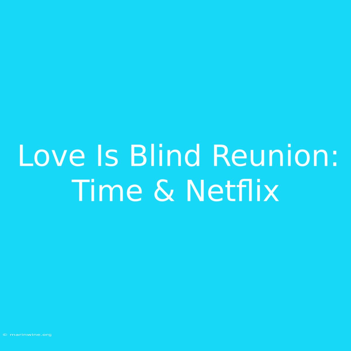 Love Is Blind Reunion: Time & Netflix