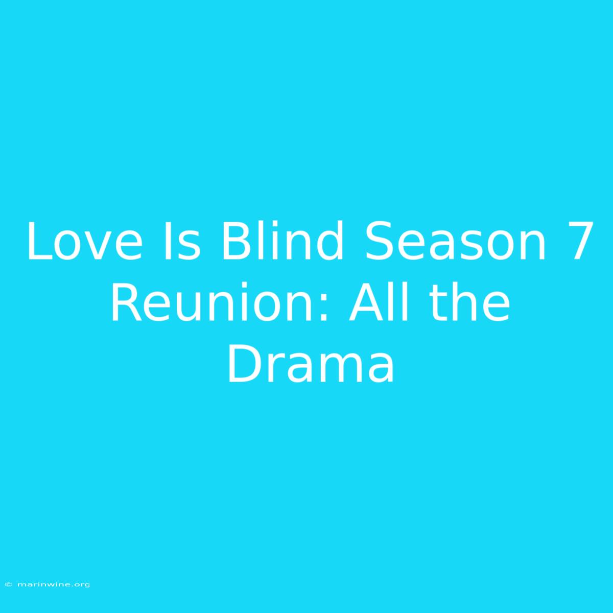 Love Is Blind Season 7 Reunion: All The Drama