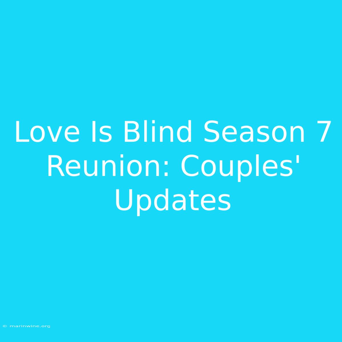 Love Is Blind Season 7 Reunion: Couples' Updates 