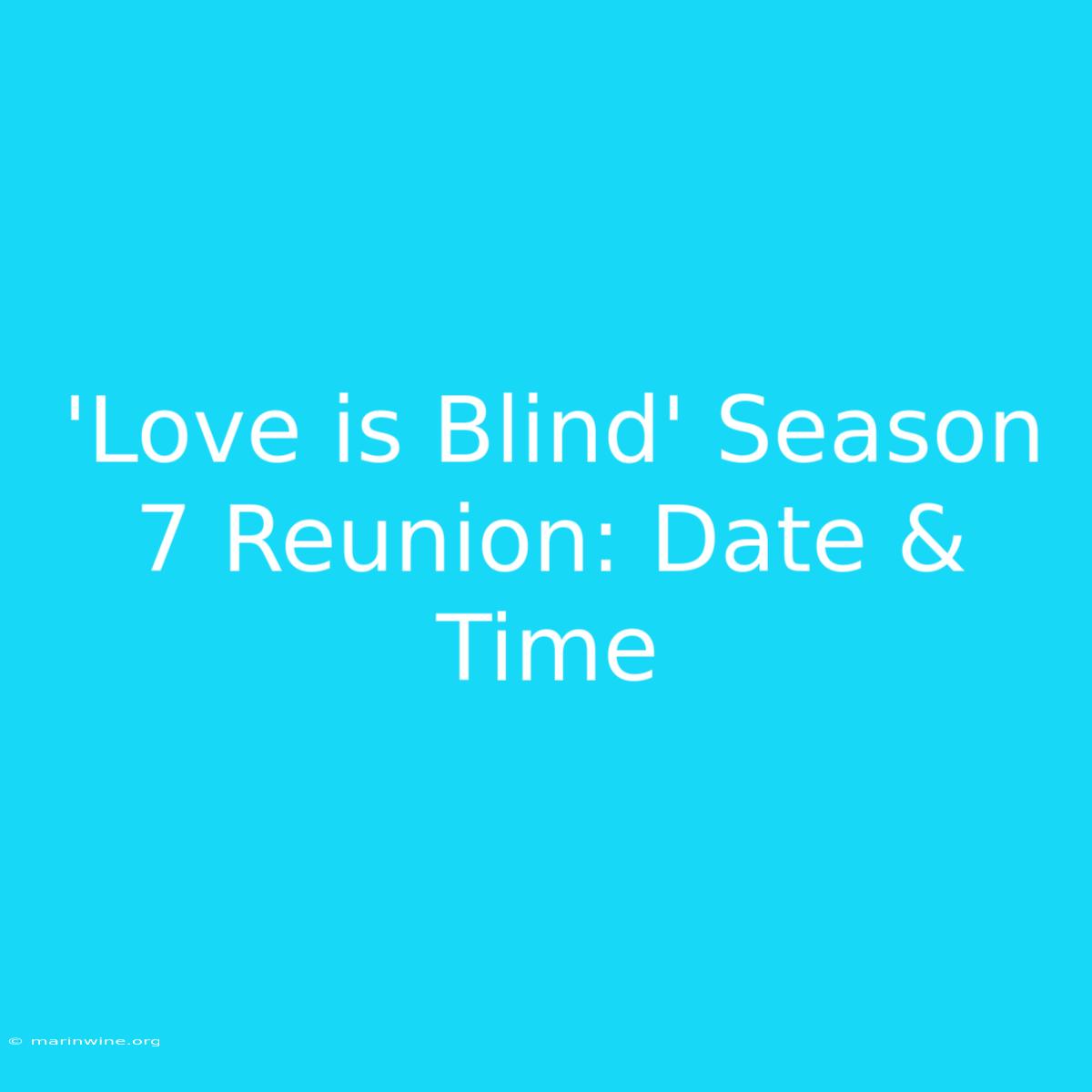 'Love Is Blind' Season 7 Reunion: Date & Time