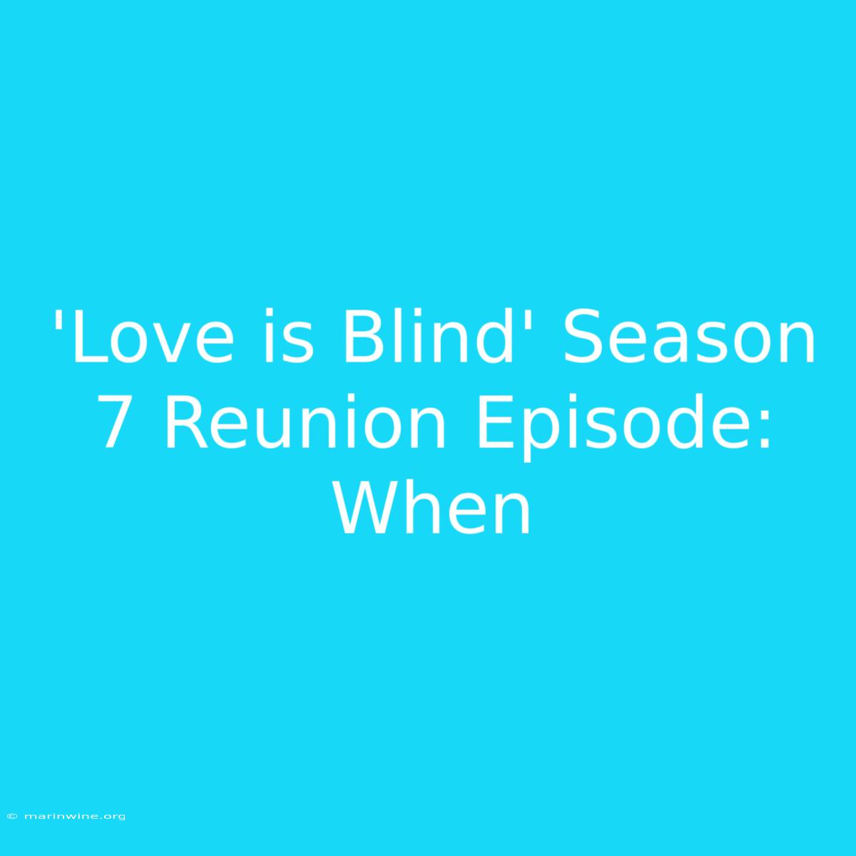 'Love Is Blind' Season 7 Reunion Episode: When