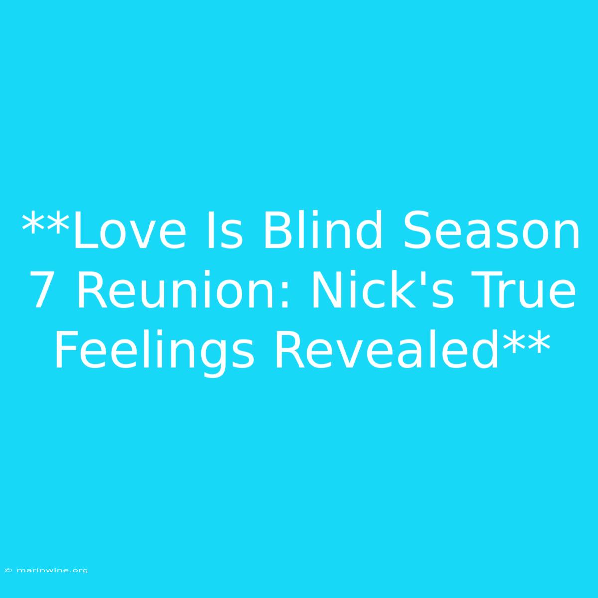 **Love Is Blind Season 7 Reunion: Nick's True Feelings Revealed**