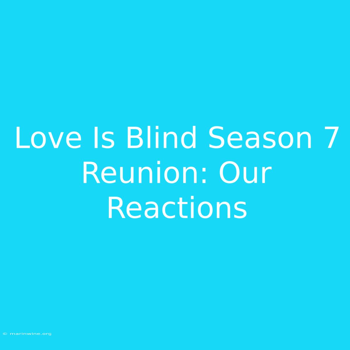 Love Is Blind Season 7 Reunion: Our Reactions