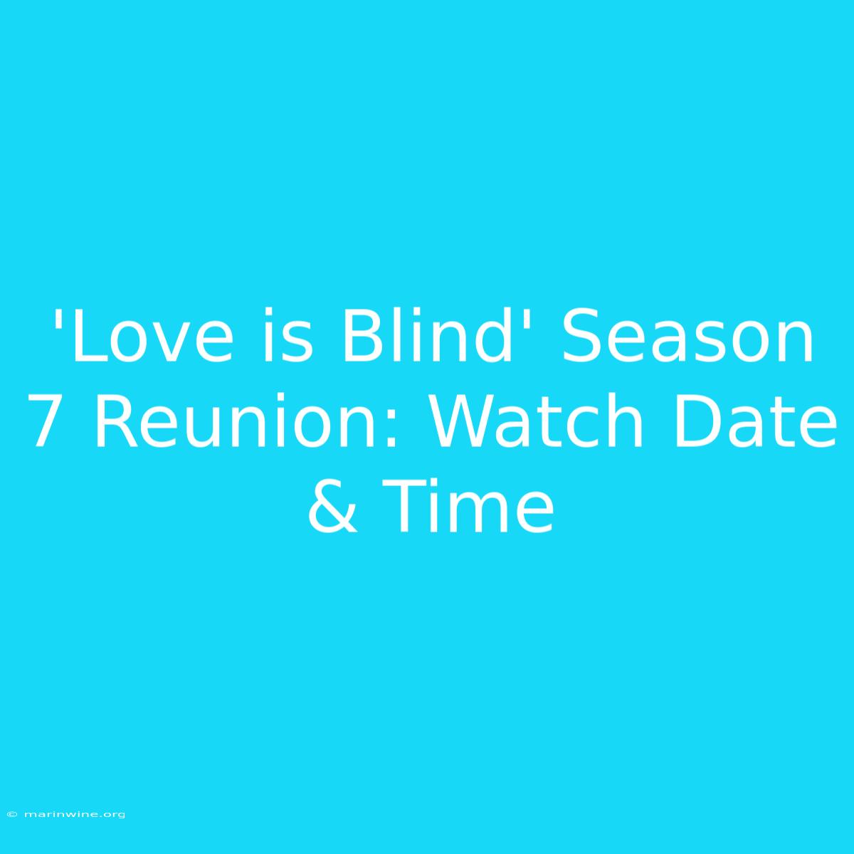 'Love Is Blind' Season 7 Reunion: Watch Date & Time 