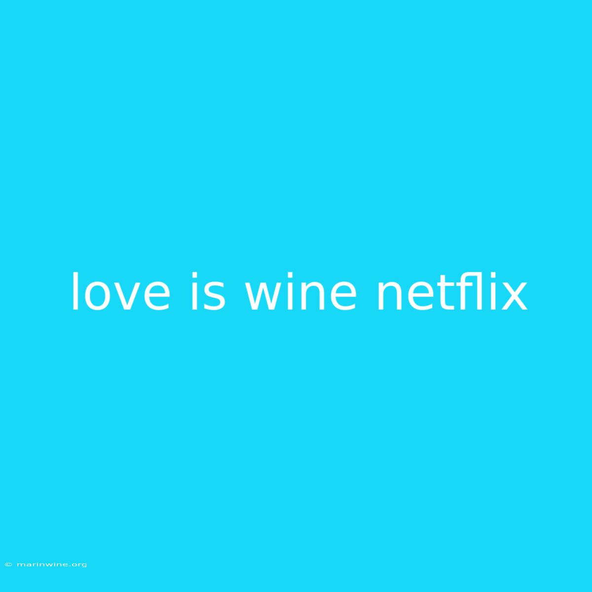 Love Is Wine Netflix