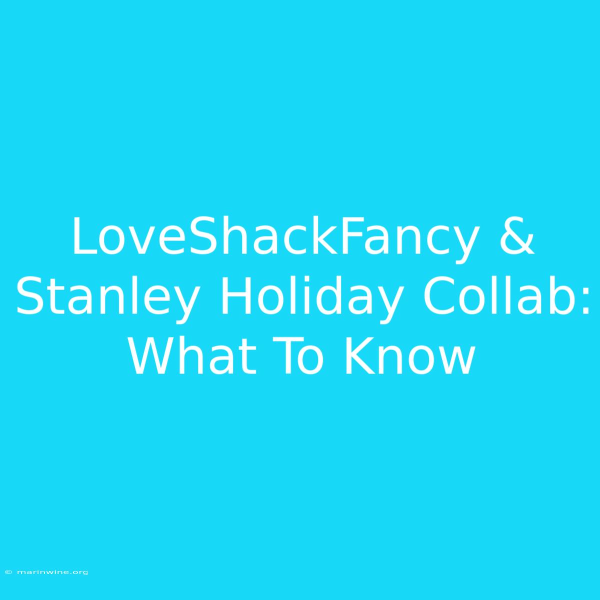 LoveShackFancy & Stanley Holiday Collab: What To Know