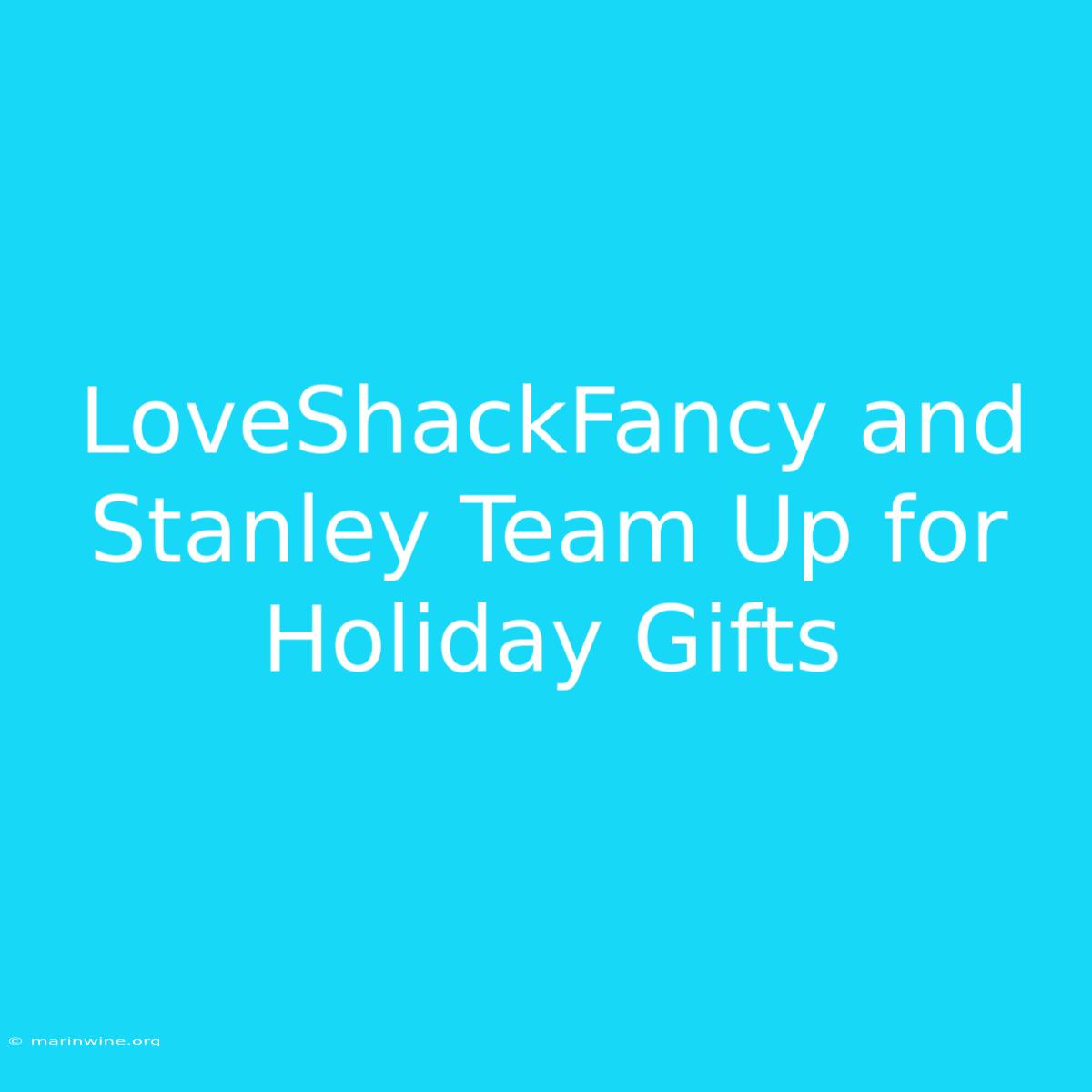 LoveShackFancy And Stanley Team Up For Holiday Gifts 