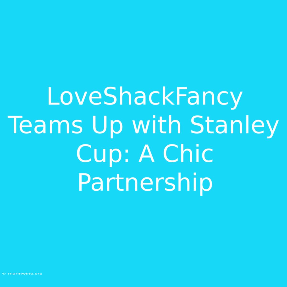 LoveShackFancy Teams Up With Stanley Cup: A Chic Partnership 