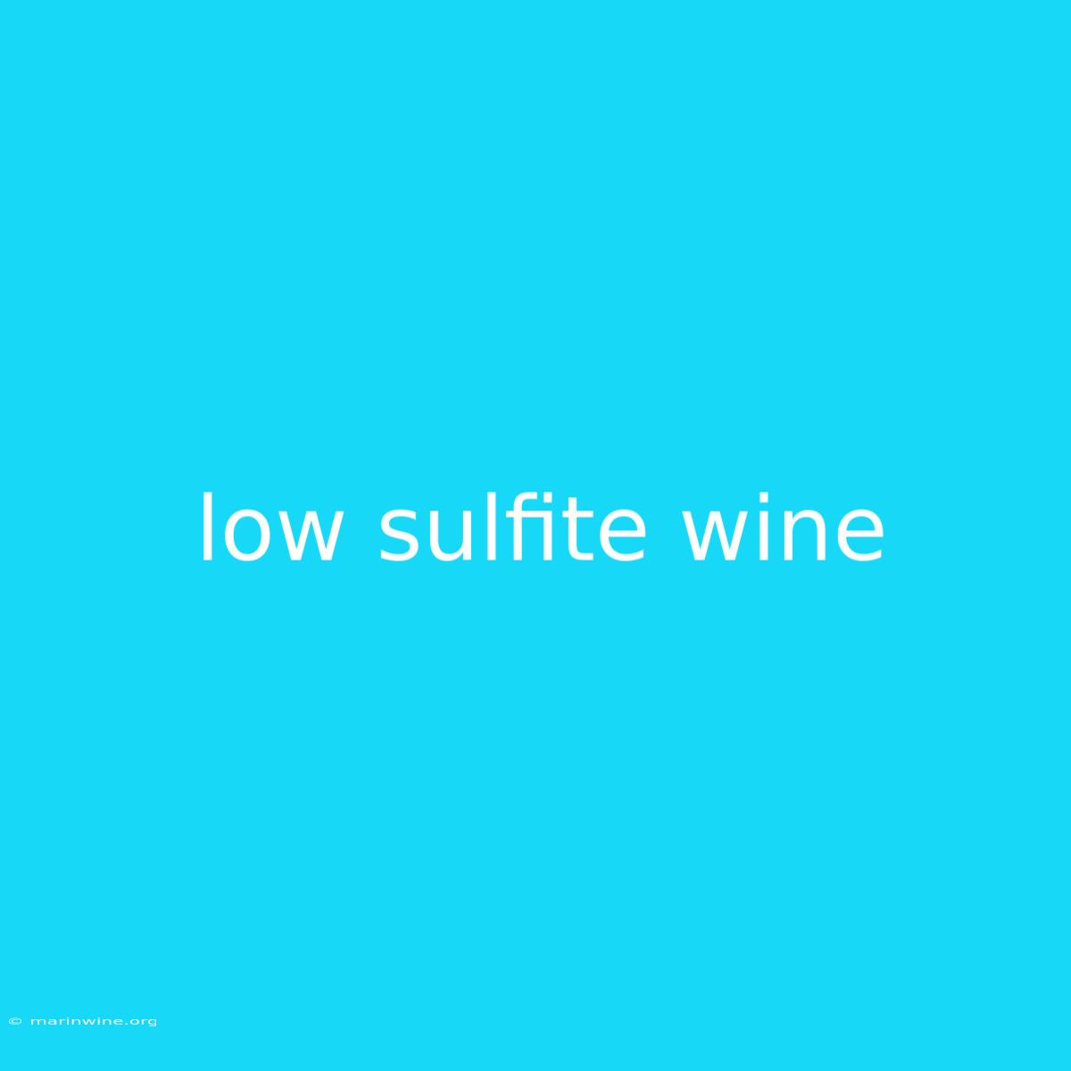 Low Sulfite Wine