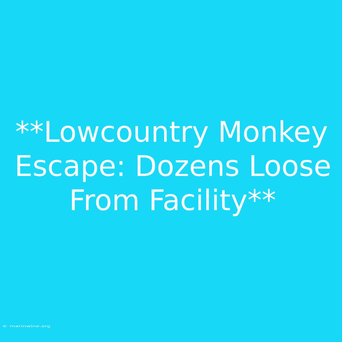 **Lowcountry Monkey Escape: Dozens Loose From Facility**