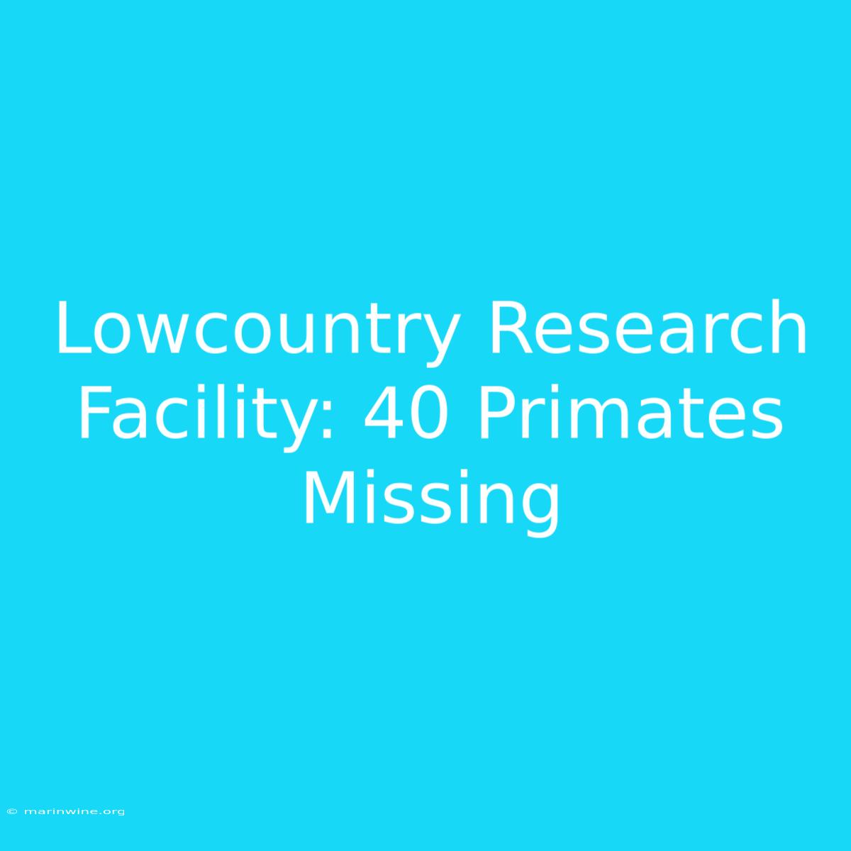 Lowcountry Research Facility: 40 Primates Missing 