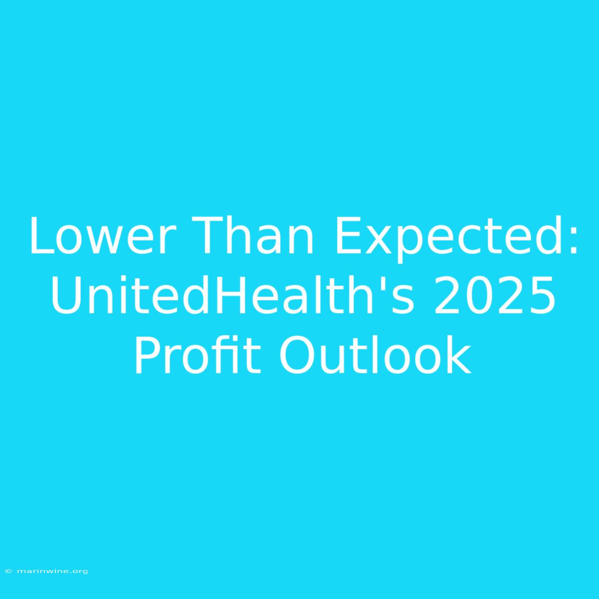 Lower Than Expected: UnitedHealth's 2025 Profit Outlook