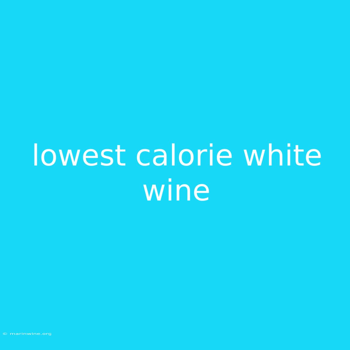 Lowest Calorie White Wine