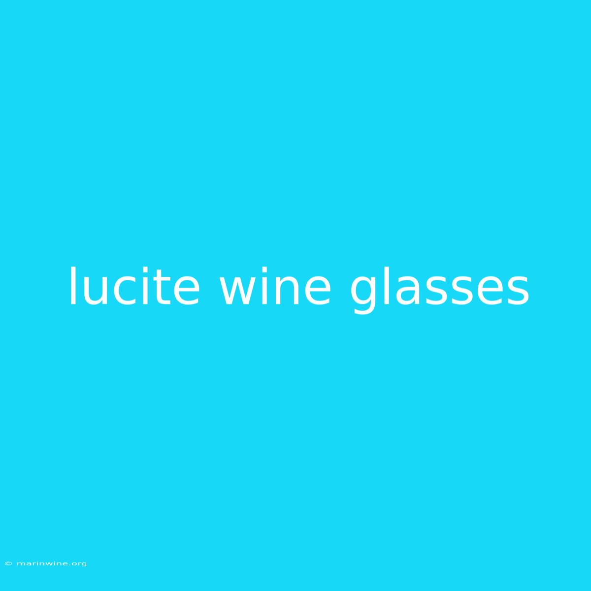 Lucite Wine Glasses