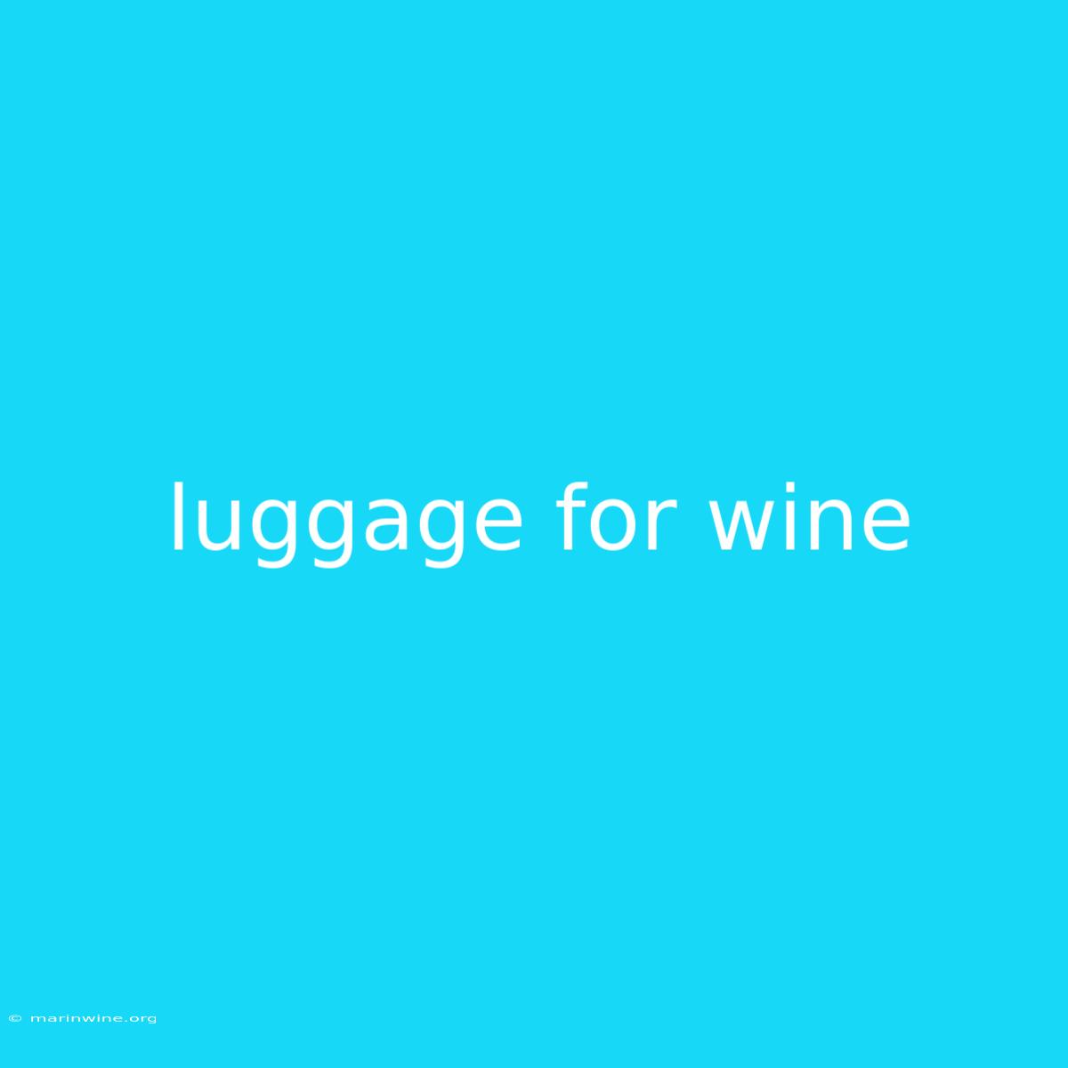 Luggage For Wine