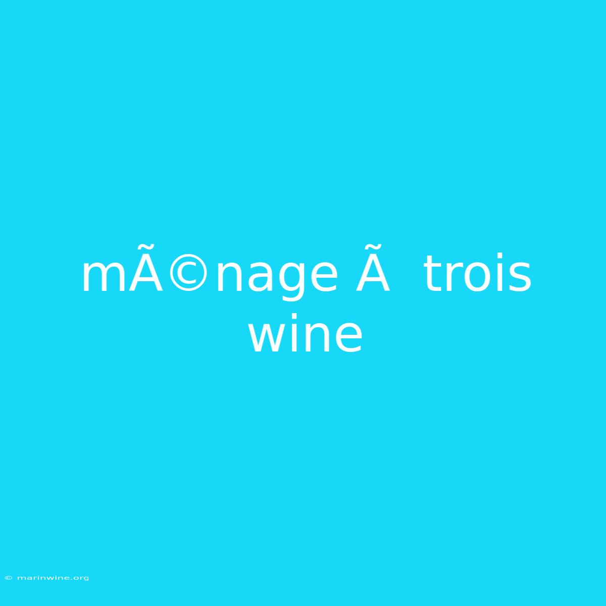 MÃ©nage Ã  Trois Wine