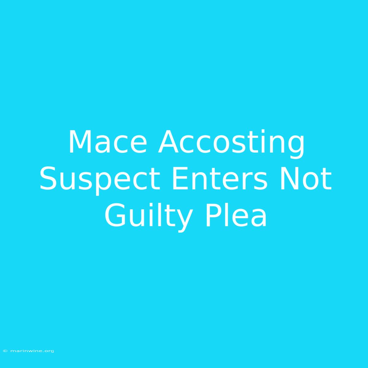 Mace Accosting Suspect Enters Not Guilty Plea