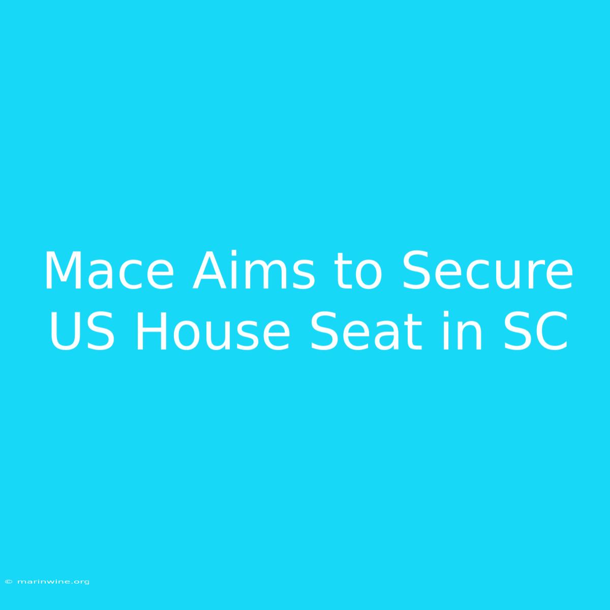 Mace Aims To Secure US House Seat In SC