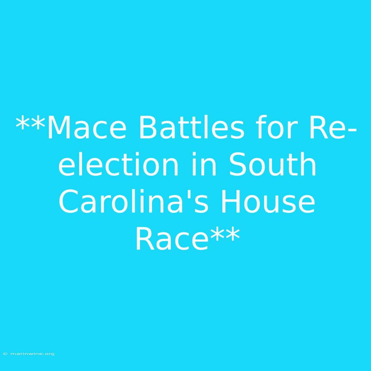 **Mace Battles For Re-election In South Carolina's House Race** 