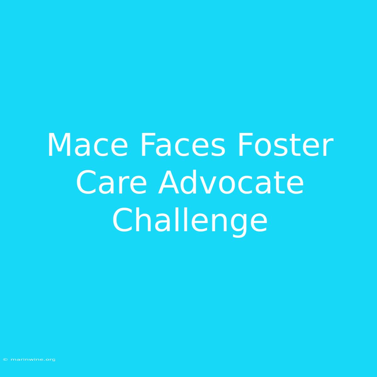 Mace Faces Foster Care Advocate Challenge