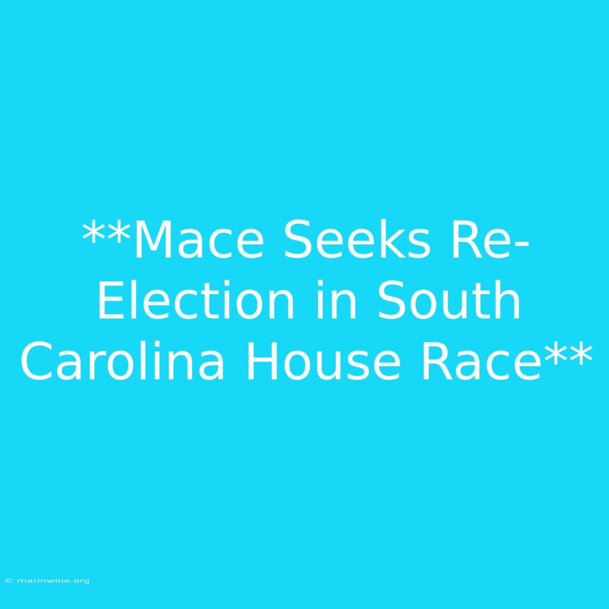 **Mace Seeks Re-Election In South Carolina House Race**