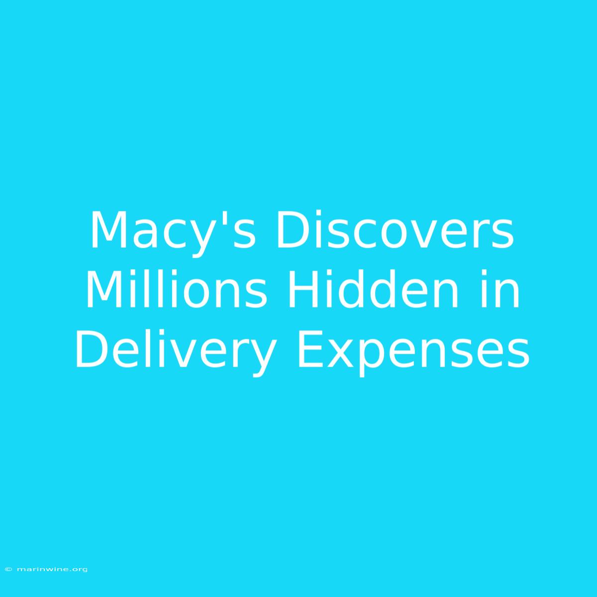 Macy's Discovers Millions Hidden In Delivery Expenses