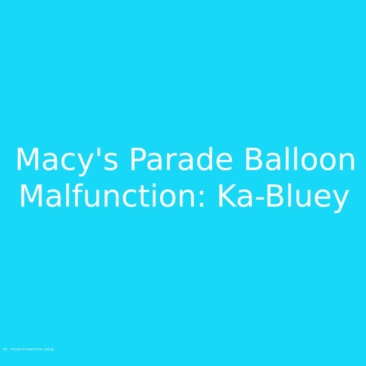 Macy's Parade Balloon Malfunction: Ka-Bluey