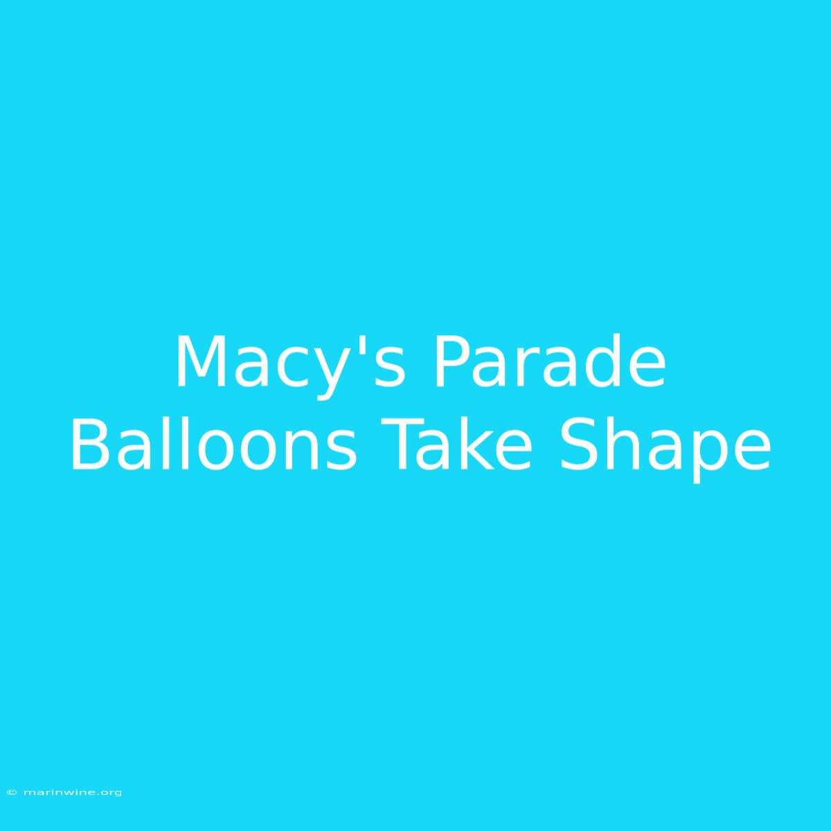 Macy's Parade Balloons Take Shape