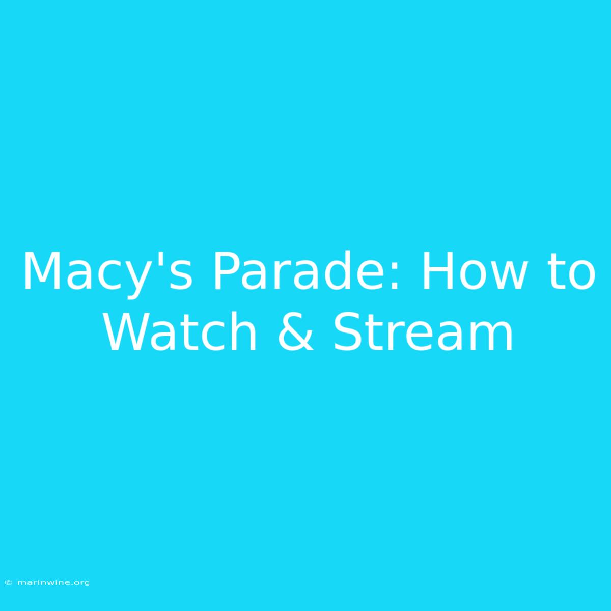 Macy's Parade: How To Watch & Stream