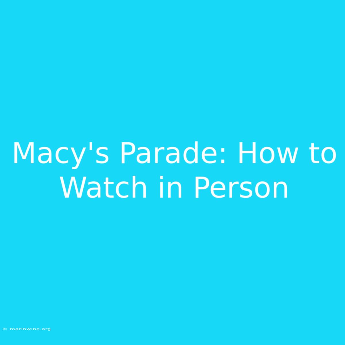 Macy's Parade: How To Watch In Person