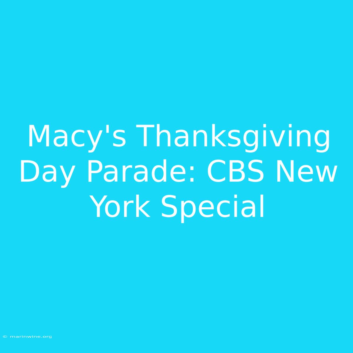 Macy's Thanksgiving Day Parade: CBS New York Special