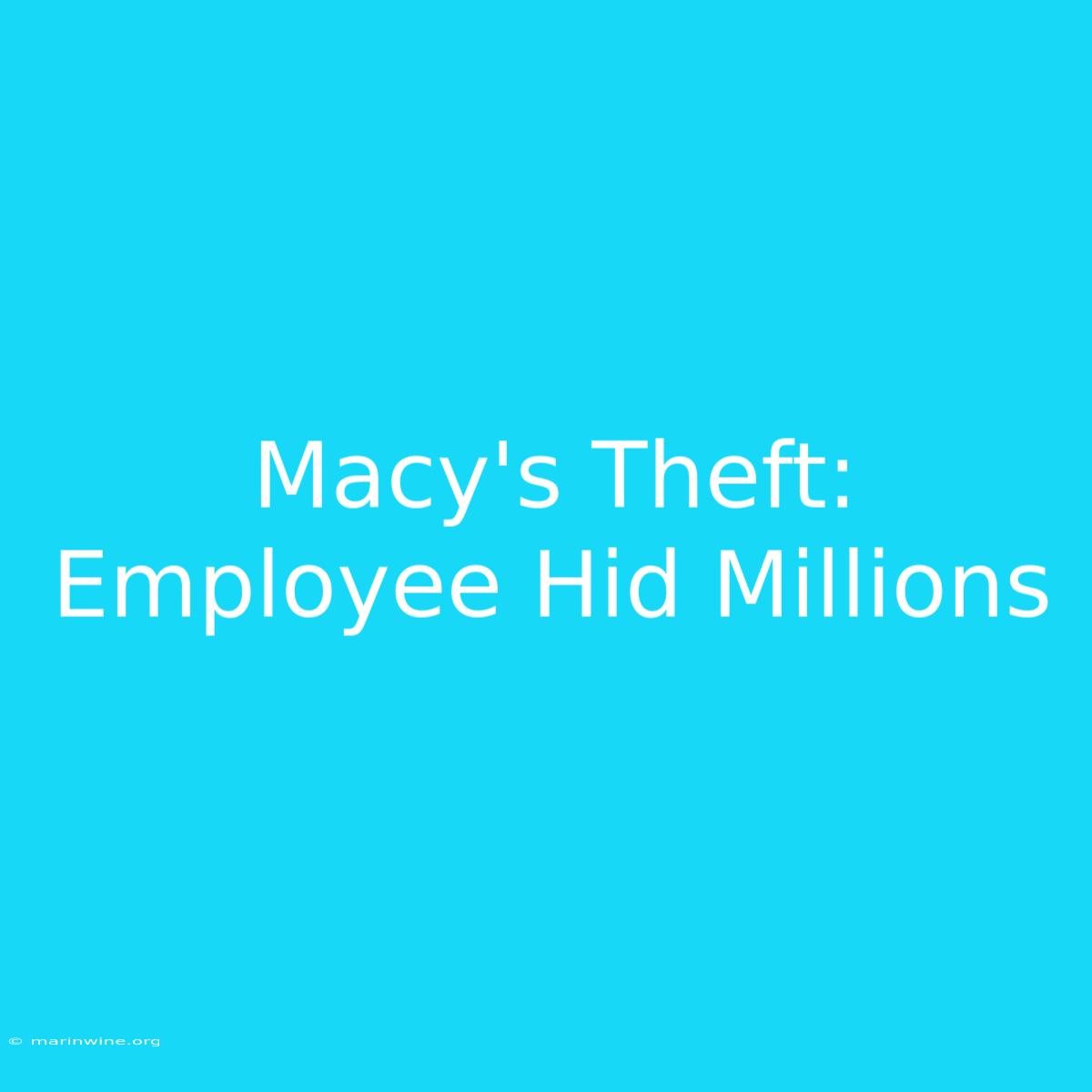 Macy's Theft: Employee Hid Millions