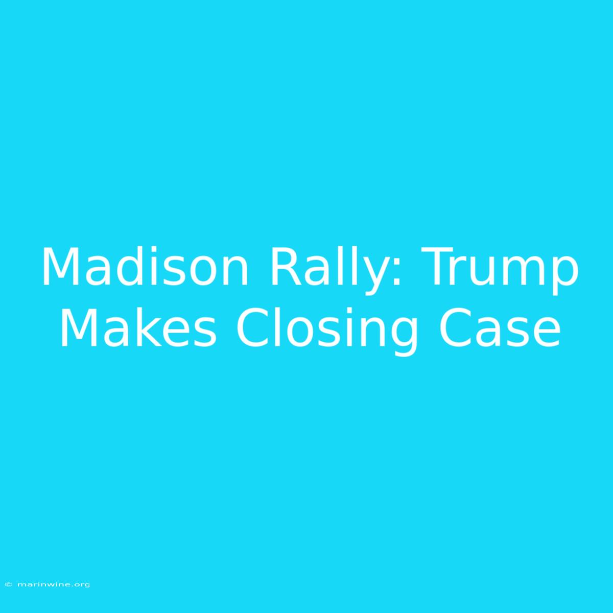 Madison Rally: Trump Makes Closing Case 