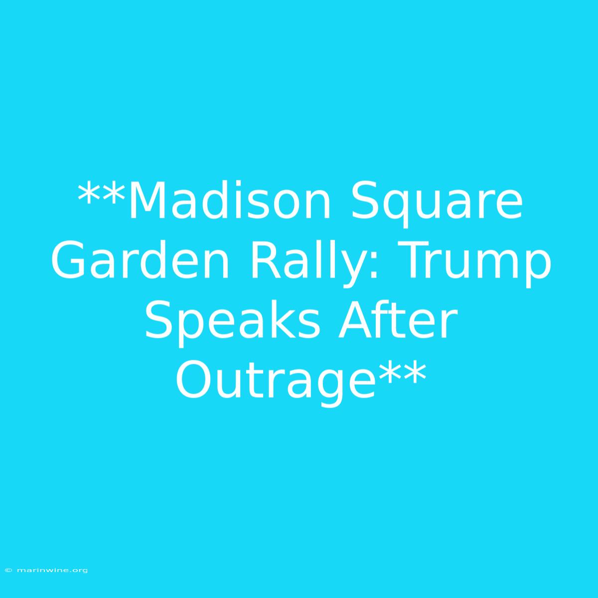 **Madison Square Garden Rally: Trump Speaks After Outrage** 