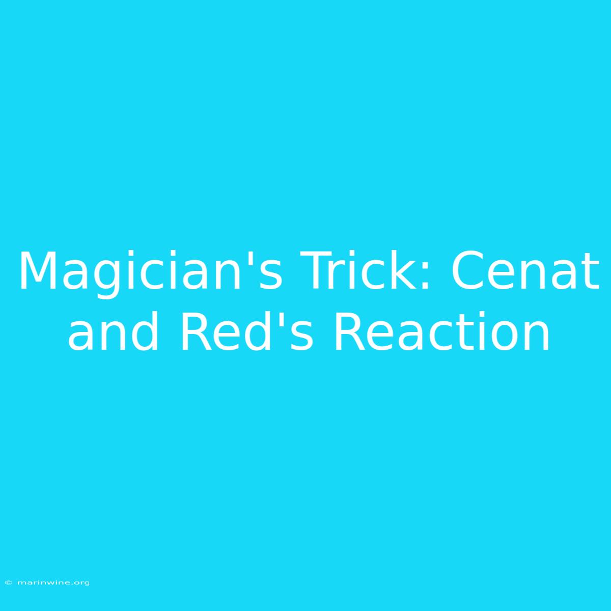 Magician's Trick: Cenat And Red's Reaction