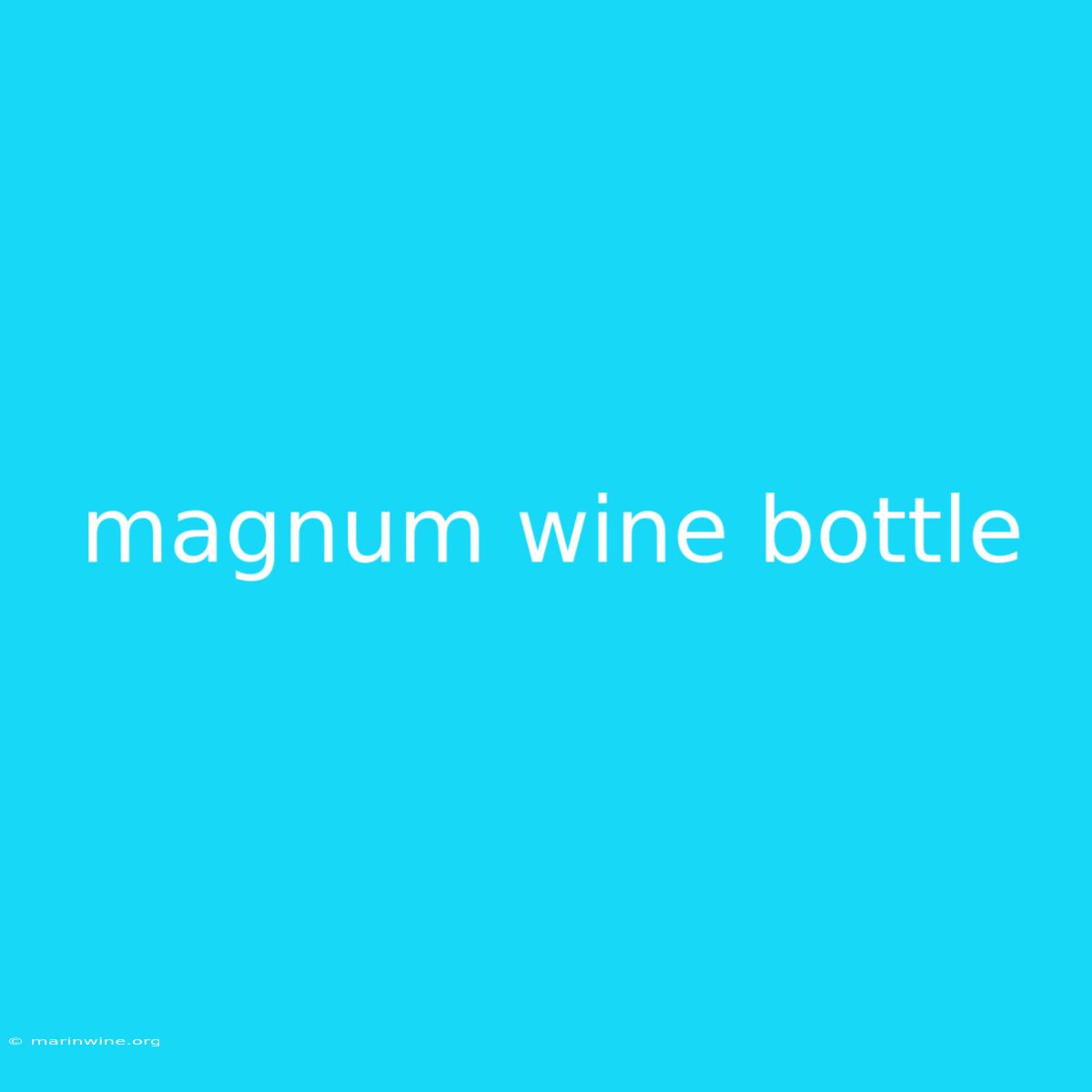 Magnum Wine Bottle